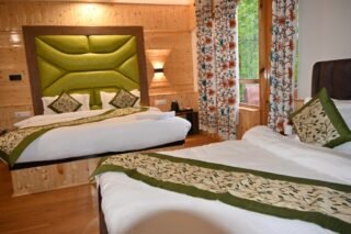 hotel delta wiev pahalgam (10)