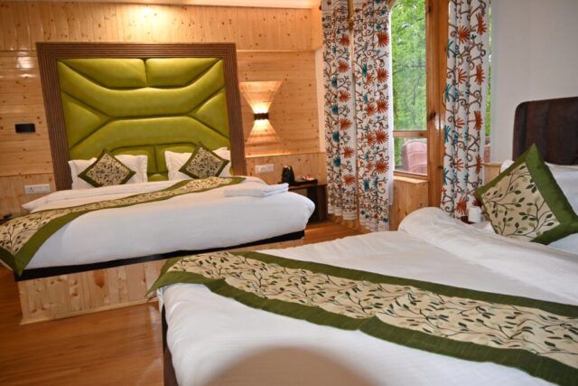 hotel delta wiev pahalgam (10)