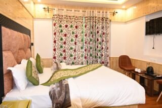 hotel delta wiev pahalgam (3)
