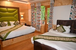 hotel delta wiev pahalgam (6)