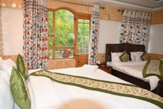 hotel delta wiev pahalgam (7)